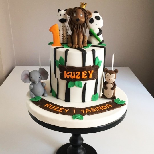 Hayvan Konseptli Pasta